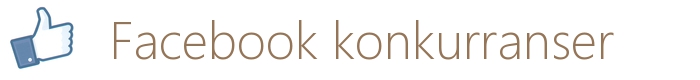 Facebook konkurranser